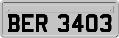 BER3403