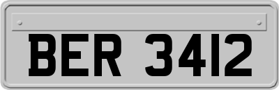 BER3412