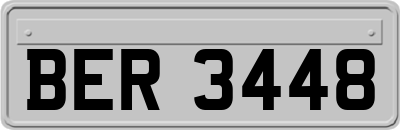 BER3448