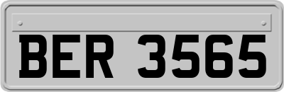 BER3565