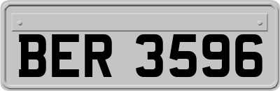 BER3596