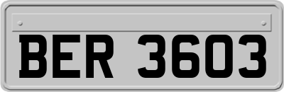 BER3603