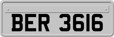 BER3616