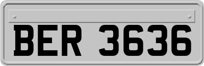 BER3636