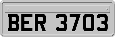 BER3703