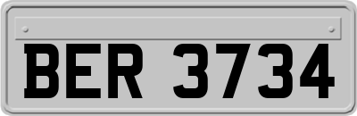 BER3734