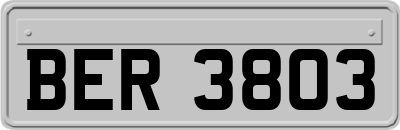 BER3803