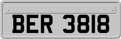 BER3818