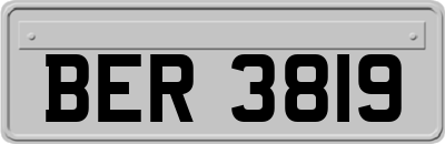 BER3819