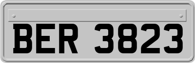 BER3823