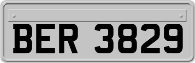 BER3829