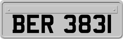 BER3831