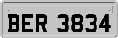 BER3834