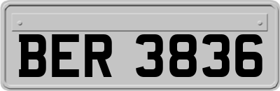 BER3836