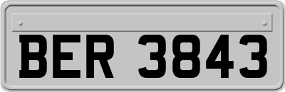 BER3843