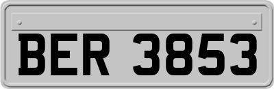 BER3853