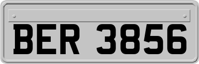 BER3856