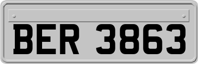 BER3863