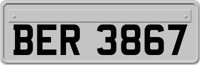 BER3867