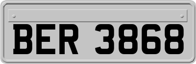 BER3868