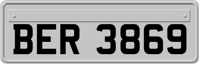 BER3869