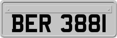 BER3881
