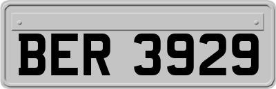 BER3929