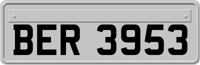 BER3953