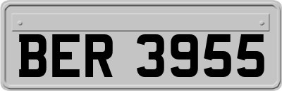 BER3955