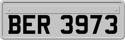 BER3973