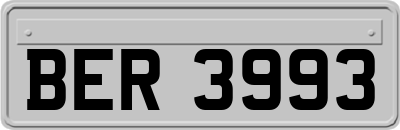 BER3993