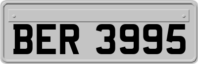 BER3995
