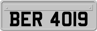 BER4019