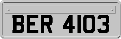 BER4103