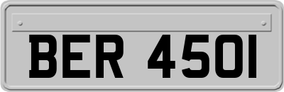 BER4501