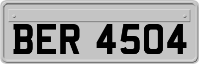 BER4504