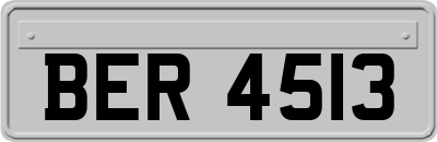 BER4513