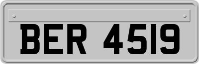 BER4519