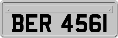 BER4561