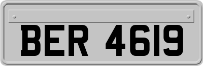 BER4619