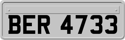 BER4733