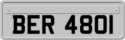 BER4801