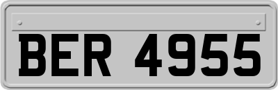 BER4955