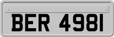 BER4981