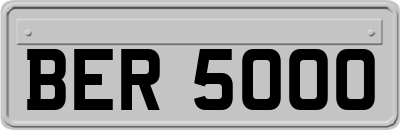 BER5000