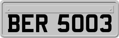 BER5003