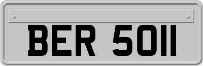 BER5011