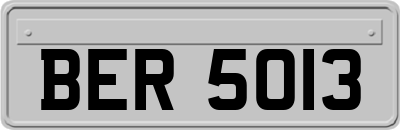 BER5013