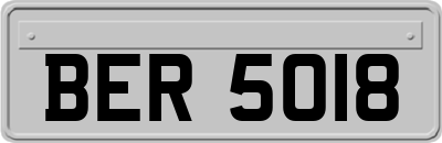 BER5018