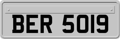 BER5019